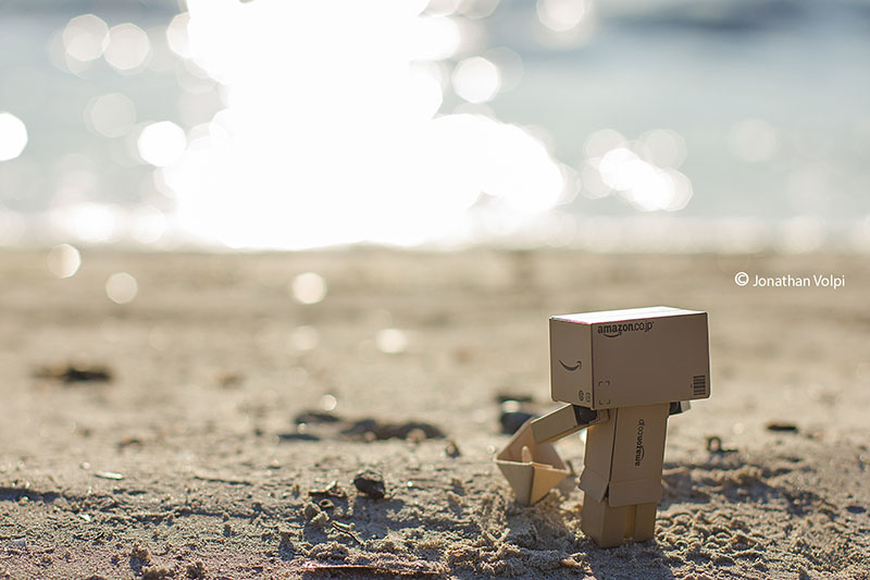 Danbo