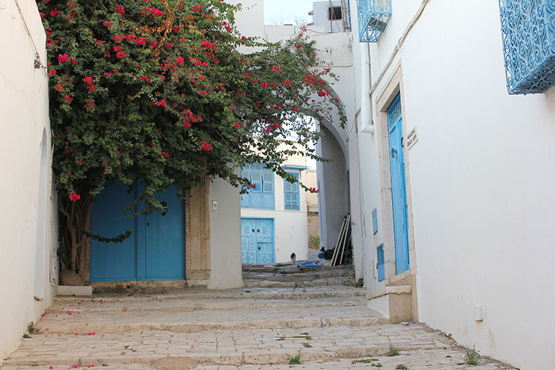Sidi Bou Said